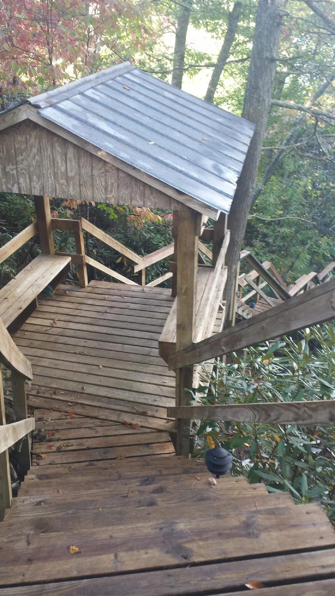 Metal roofed shelter over wooden steps on a wooded walkway — Skylight Repair & Installation work by our crew in Floral